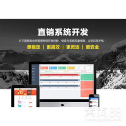 山東直銷管理軟件公司 引領企業數字化轉型的軟件開發專家
