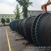 架空電纜與高壓架空線 市場行情、優(yōu)質廠家與產品圖鑒