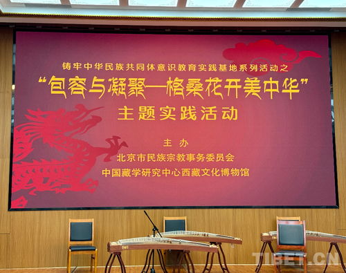 包容與凝聚 格?；ㄩ_(kāi)美中華 主題實(shí)踐活動(dòng)在西藏文化博物館舉行