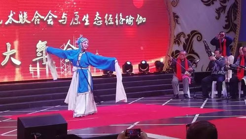 呼市民間文藝團(tuán)隊(duì)才藝展示迎新年